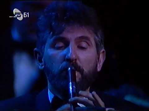 Miroslav Ilić - koncert - Selo moje, zavičaju mio