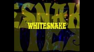 Download lagu Whitesnake Burn live mp3