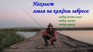 Ссылка