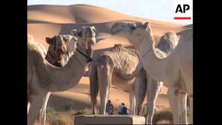 ALGERIA: TOURIST ATTRACTIONS MARRED BY POLITICAL VIOLENCE