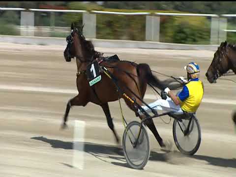 Trotto 21/09/2019 - 1ª corsa