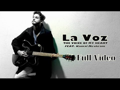 Kamal Meshram portfolio video6