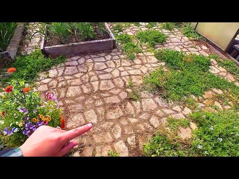 VLOG: ЧИСТИМ ДОРОЖКУ! 05.07.20