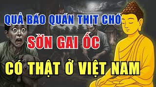 Sờn Gai Ốc: Quả Báo Đáng Sợ Của Quán Thịt Chó – Chuyện Có Thật
