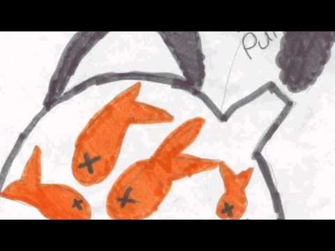 Kettle OF Fish - GLR Radio 1995