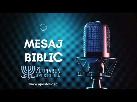 Zacharia Bica - Romans 5 II