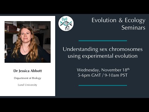 [Jessica Abbott] Understanding sex chromosomes using experimental evolution