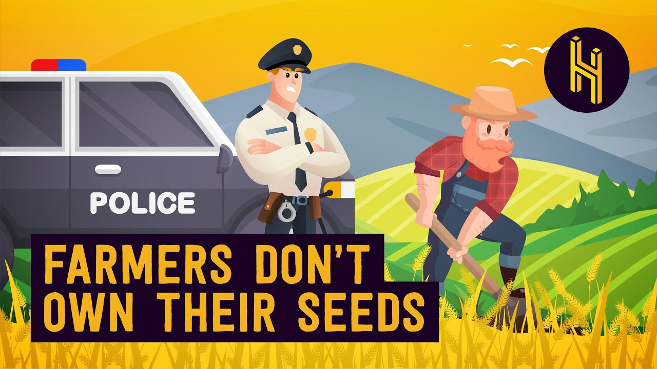 Why Farmers Can’t Legally Replant Their Own Seeds