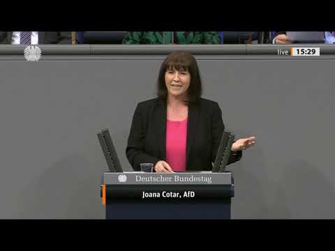 Joana Cotar (AfD): "Meinungsfreiheit ist unser höchstes Gut" 14 01 21