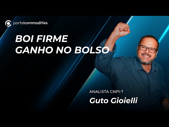 Boi firme traz lucro