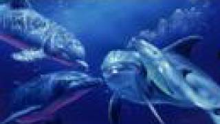 John Denver Ancient Rhymes