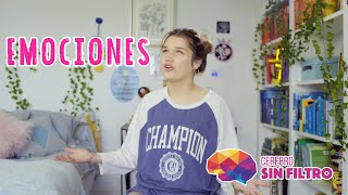 Capítulo 2: EMOCIONES