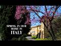 RENOVATING A RUIN Spring Easter In Italy Men S Mental Health Baking Colomba From Scratch