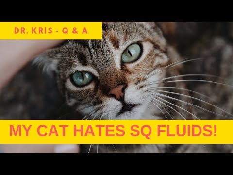 My cat fights me with SQ fluids - it's impossible!