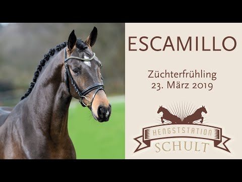 ESCAMILLO