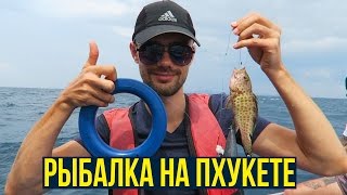 Ссылка