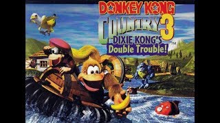 Donkey Kong 3 6