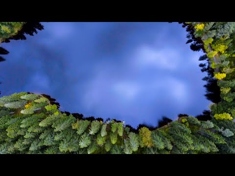 Beautiful lake Feldsee (Feldberg) | Aerial (4K)