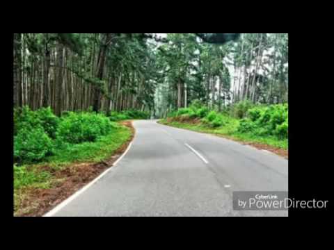 Srilankan poto thilina