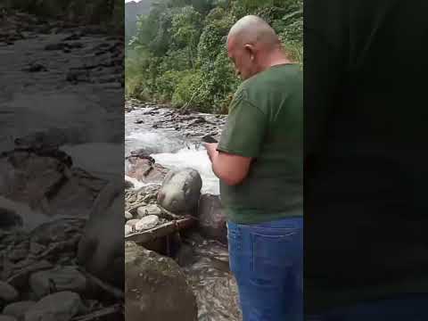 linares chaco Napo hectarea valor 2000 dolares se dueño