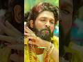 Pushpraj Pushpa 2 Status Pushpa 2 WhatsApp Pushpa 2 Shorts Pushpa2