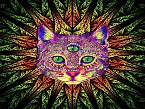 SET PROG TRANCE - MAIO 2022 { Só Pedrada }