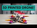 We 3D Printed an FPV Drone | Does it Fly??