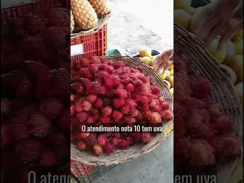 abarraca da praça de Amélia Rodrigues venha comprar barato