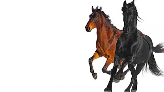 Old Town Road Remix feat. Billy Ray Cyrus 1 Hour Version