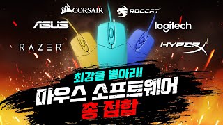 퀘이사존