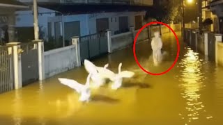 Download lagu The Appearance of a Pocong During a Flood Chased by Geese #pocong mp3 Download lagu The Appearance of a Pocong During a Flood Chased by Geese #pocong mp3