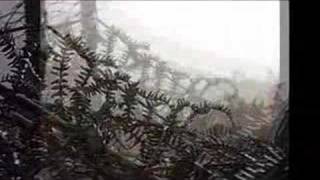 Les Rideaux Music Video