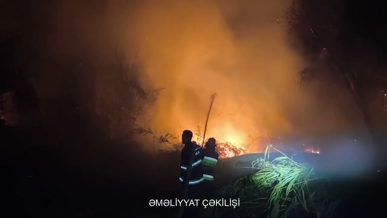 Qızılağac Milli Parkında yanğın olub VİDEO