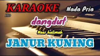 Download lagu JANUR KUNING - Noer halimah - Nada Pria [ KARAOKE/LIRIK ] ORGAN TUNGGAL mp3