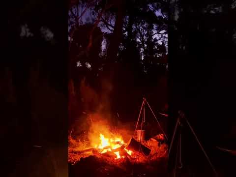 Fireside bellyful 🔥 #campfire