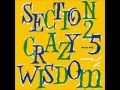 section 25 - the guitar waltz - crazy wisdom (factory benelux, 1985)