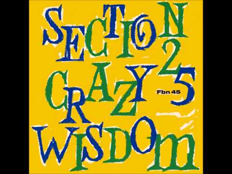 section 25 - the guitar waltz - crazy wisdom (factory benelux, 1985)