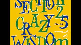 section 25 - the guitar waltz - crazy wisdom (factory benelux, 1985)