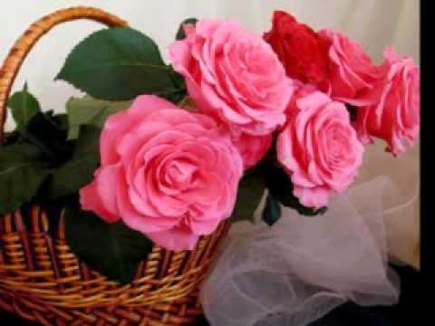 Ljuca Rustem Muratovic - Preskocicu tarabu i jarak.flv