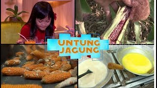 Download lagu LAPTOP SI UNYIL | UNTUNG JAGUNG (18/07/18) 1-3 mp3