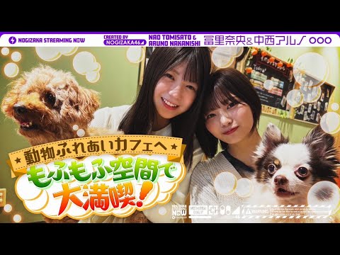 乃木坂配信中「冨里と中西がたくさんの動物と触れ合ってきた！」