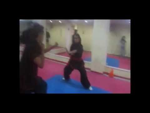 HO HOK PAI KUNG FU