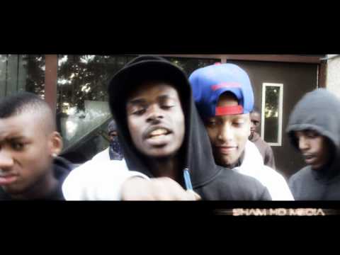 Sham HD Media - 187records - Its The Life We Live