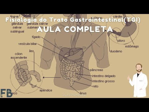 Fisiologia do Sistema Digestório (TGI) - AULA COMPLETA | Prof. Felipe Barros