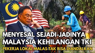 Download lagu MALAYSIA REGRETS IT SO MUCH! Migrant Workers Expelled, Employers Suffer BIG LOSSES! 😱 mp3 Download lagu MALAYSIA REGRETS IT SO MUCH! Migrant Workers Expelled, Employers Suffer BIG LOSSES! 😱 mp3