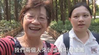 茨城水戶偕樂園夏日一遊