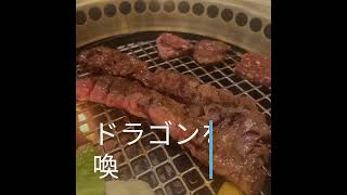 焼肉なべしまのドラゴンカルビを食べたいだけの人生だった #鹿児島  #焼肉 #鹿児島グルメ #shorts