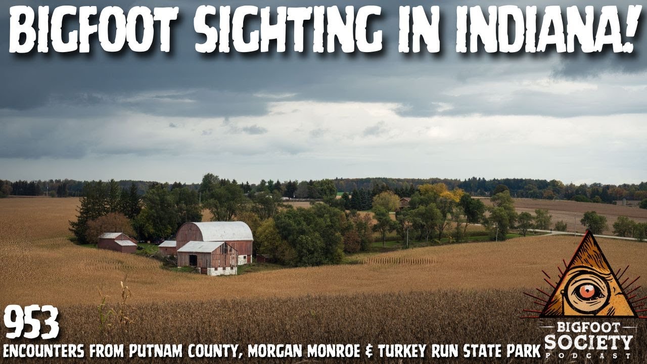Bigfoot Sighting in Indiana: Terry’s True Encounter near Morgan Monroe & Putnam County