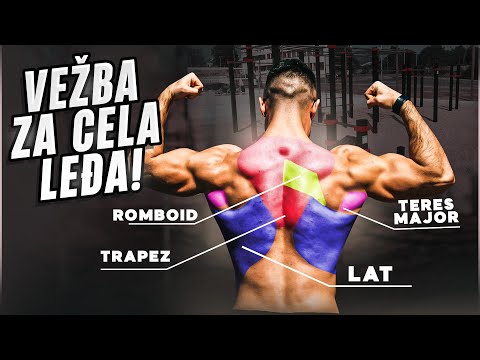 Zašto je ZGIB najbolja vežba za leđa? Naučno i naše viđenje