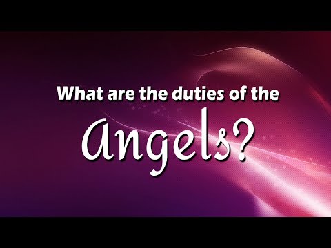 What are the duties of the Angels ?